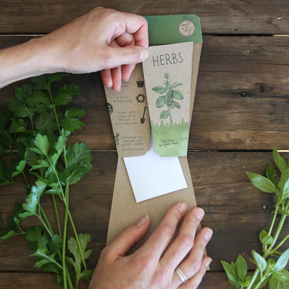 Trio of Herbs Gift of Seeds (Australia Only)