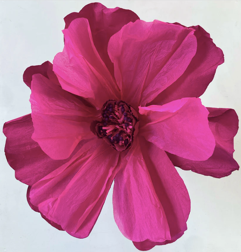 XL Paper Flower - Magenta