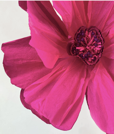 XL Paper Flower - Magenta