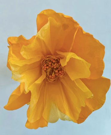 XL Paper Flower - Yellow