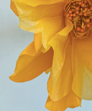 XL Paper Flower - Yellow