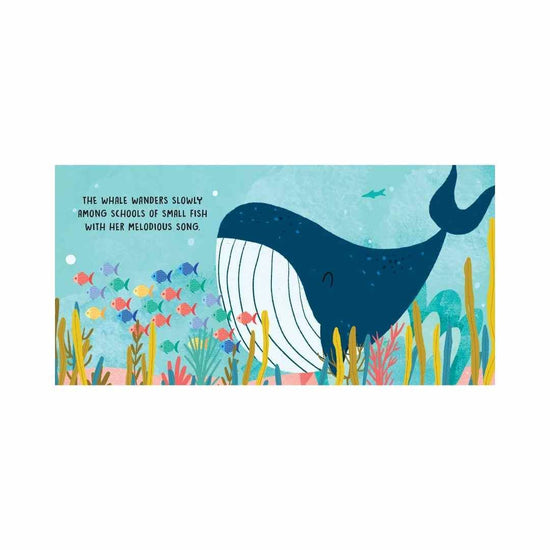 The Sea Board Book Sweet Sounds Stories