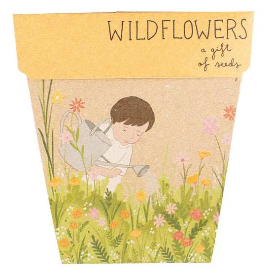 Wildflowers Gift of Seeds